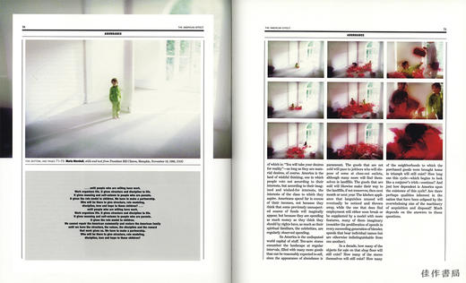 The American Effect: Global Perspective on the United States  1990-2003  Whitney Museum 商品图4
