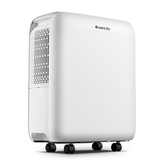 格力除湿机 12L/日除湿量 小身材 大晴天 DH12EN 商品图1