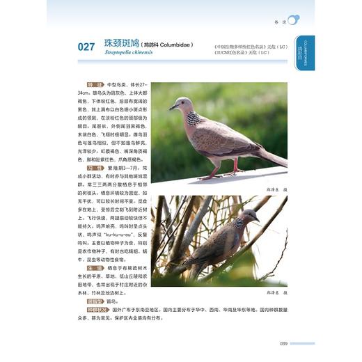 安吉小鲵国家级自然保护区鸟类图鉴(精)/郎泽东/刘宝权/汪贤挺/浙江大学出版社/图谱/自然保护/动物/植物/分类 商品图2