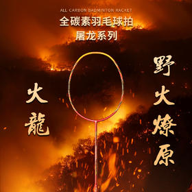国羽严选l薛松屠龙系列单拍耐用进攻全碳素高磅高端专业羽毛球拍