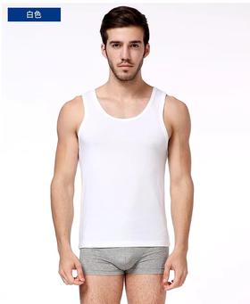 6F SCHIESSER舒雅 男士背心 2件