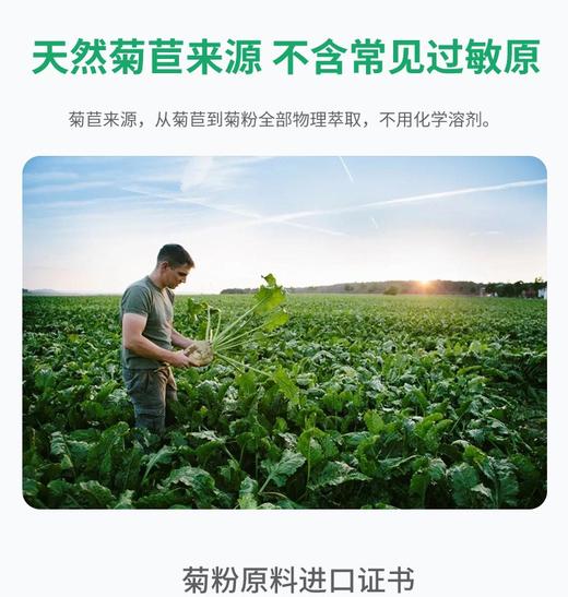 【包邮】菊粉益生元菌膳食纤维比利时进口原料成人孕妇儿童低聚果糖便秘 商品图5