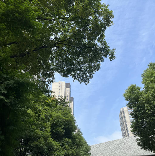 视频号类目新增属性测试 商品图0