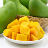 【现摘现发】海南金煌芒 新鲜水果 整箱发货 收到请催熟 商品缩略图3