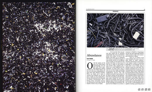 The American Effect: Global Perspective on the United States  1990-2003  Whitney Museum 商品图9