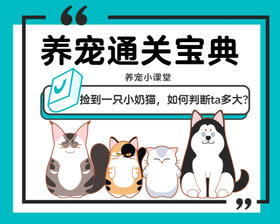 捡到一只小奶猫，如何判断ta多大？