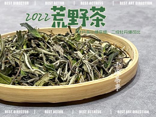 【连续4年口碑】一款极其稀缺的特制荒野茶《荒野老枝》，它的主人不缺钱，随性子采摘（一斤收藏装） 商品图2