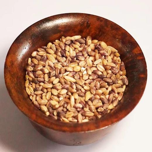 云南迪庆香格里拉特产青稞米500g/盒 商品图3