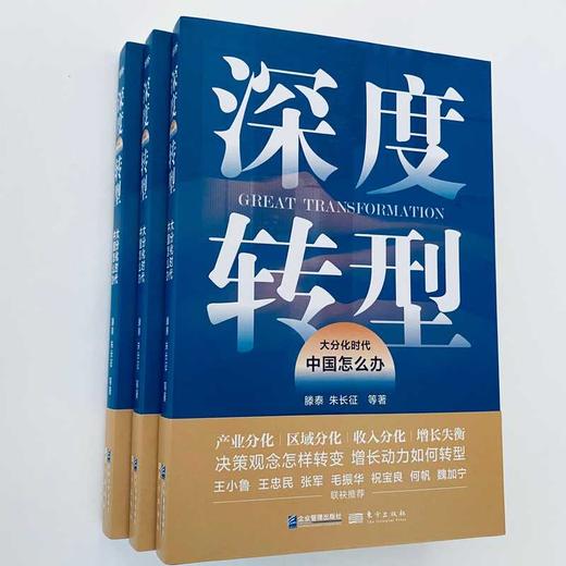 【限时特惠+作者亲笔签名版】深度转型：大分化时代中国怎么办 （王小鲁、王忠民、张军、毛振华、祝宝良、何帆、魏加宁联袂推荐） 商品图4