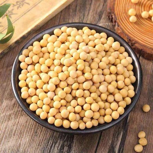 静宁县黄豆500g*2建议阴凉干燥通风 商品图2