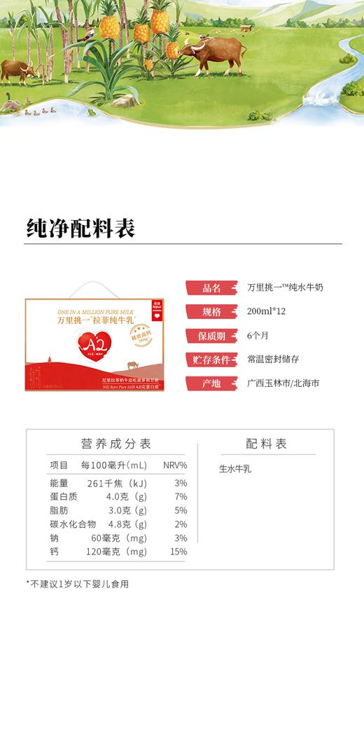 乐纯牛奶  万里挑一纯牛奶整箱200ml*12盒 商品图2