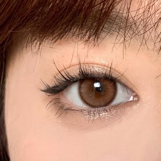 Deekay旗下 ·G381陶白白棕｜韩国进口年抛｜建议6个月更换｜14.5mm中大直径 商品图7