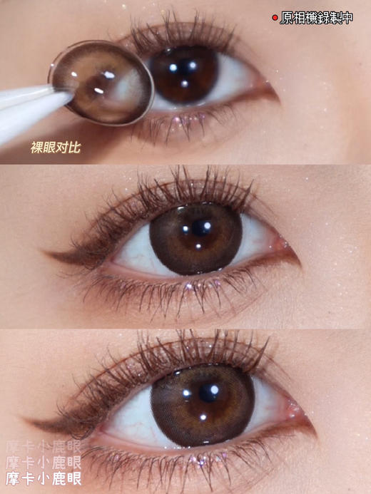 日抛 Ocean girl O4# Brown 14.5 着色13.9  04 棕咖 商品图3