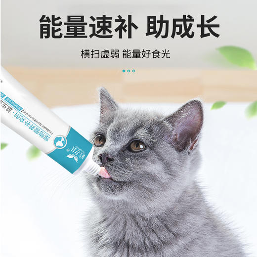 道力其-宠物益生菌整肠膏-120g  调理肠胃 厂家直供 商品图1