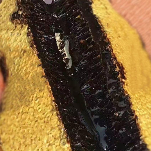 人间喜物 云南西双版纳米团花黑蜂蜜、雨林崖蜜地理特产 商品图5