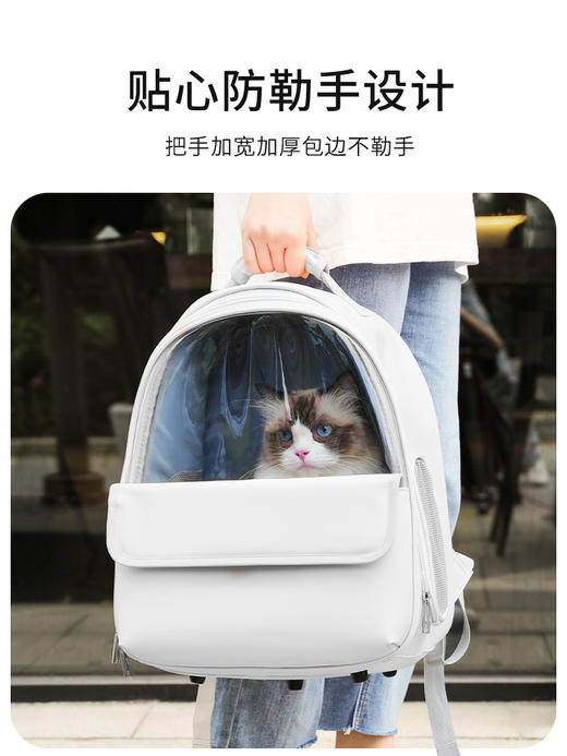 猫包手提双肩猫背包 商品图4