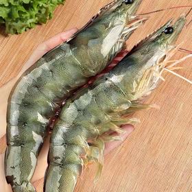 冷冻【顺丰包邮】海捕大虾超大海鲜水产速冻整箱4斤净重3.3斤