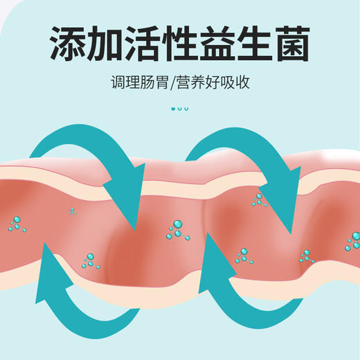 道力其-宠物益生菌整肠膏-120g  调理肠胃 厂家直供 商品图2