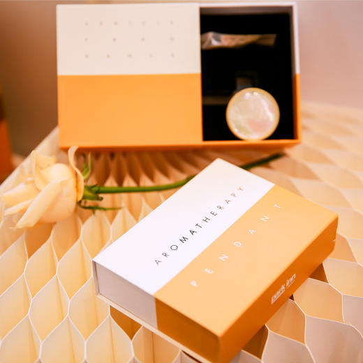 艾瑞尔香氛车载香氛车用香薰香片酒店同款 商品图1