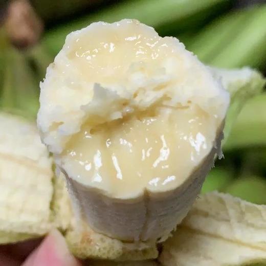 西双版纳高山威尼斯香蕉，生态种植，自然摧熟，口口粉糯香甜 商品图1