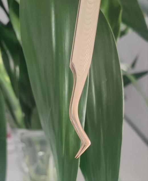 （金色款）   睫毛镊子5款可选择（配送盒子） 商品图4