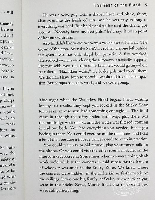 预售 【中商原版】洪水之年 Year Of The Flood 英文原版 阿特伍德 商品图8