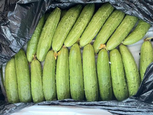 연변오이延吉黄瓜 3根 （460g左右） 商品图1
