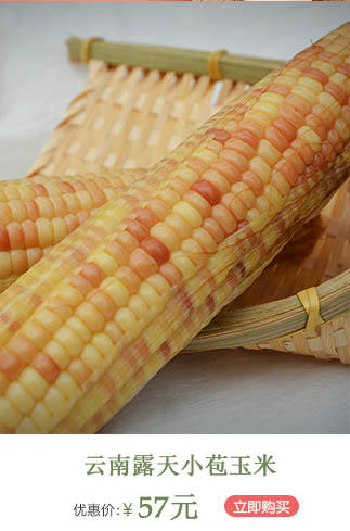 桐叶月卡礼套装 商品图7