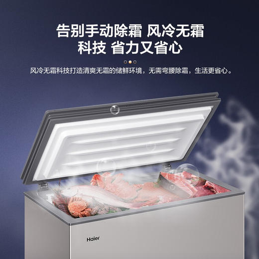 海尔（Haier）180升商用家用卧式一级能效风冷无霜冷柜 -38℃深冷速冻 冷藏冷冻转换 智能控温BC/BD-180WEGU1 商品图5