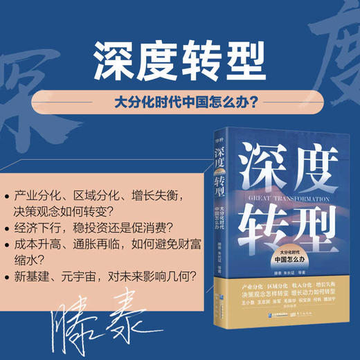 【限时特惠+作者亲笔签名版】深度转型：大分化时代中国怎么办 （王小鲁、王忠民、张军、毛振华、祝宝良、何帆、魏加宁联袂推荐） 商品图1