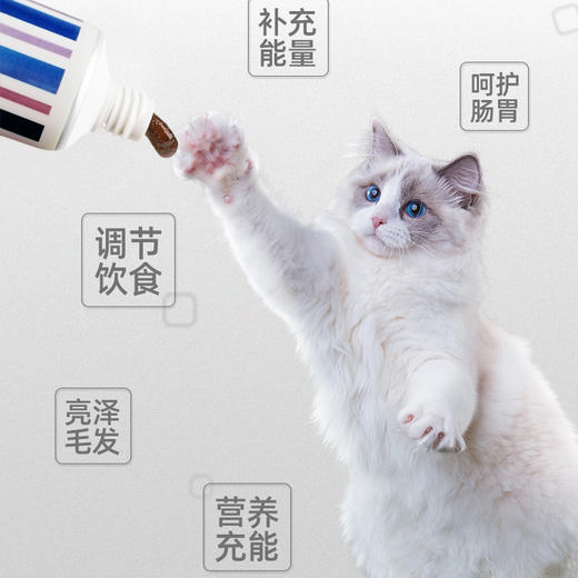 道力其-宠物营养膏120g 营养均衡 提高免疫 犬猫通用 商品图3