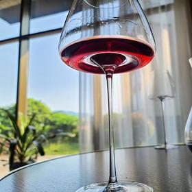 SXZ30号Logo苹果杯