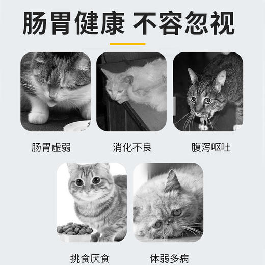 道力其-宠物益生菌整肠膏-120g  调理肠胃 厂家直供 商品图5