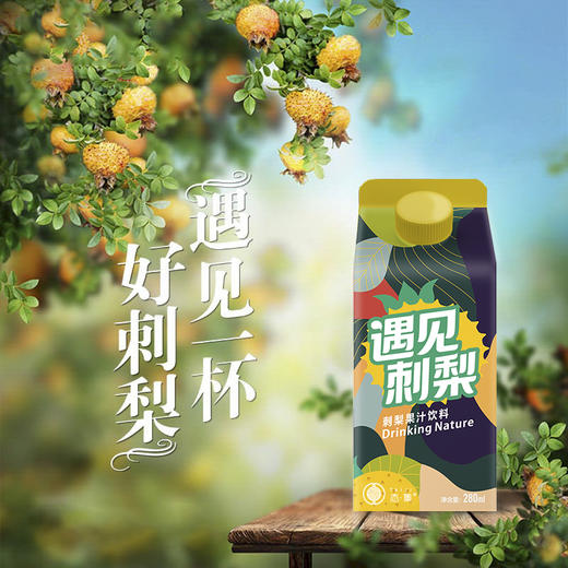 遇见刺梨果汁饮料280ml*12盒/箱 商品图4