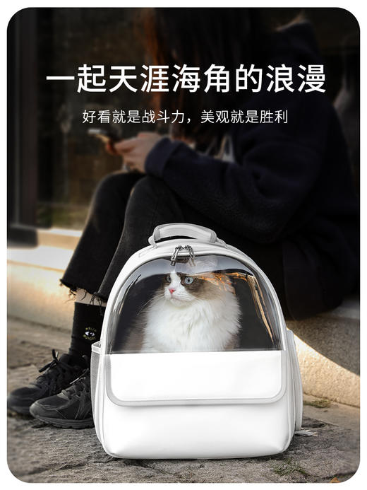 猫包手提双肩猫背包 商品图2