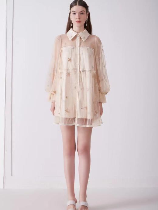 裸色星空刺绣泡泡袖连衣裙 商品图1