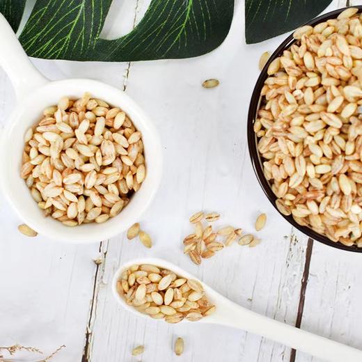 云南迪庆香格里拉特产青稞米500g/盒 商品图2