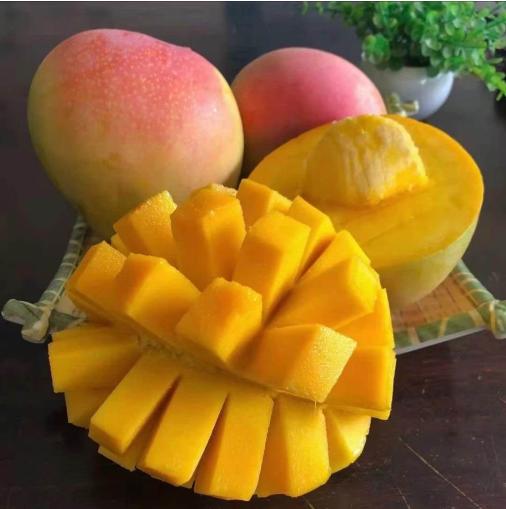 云南苹果芒 商品图4