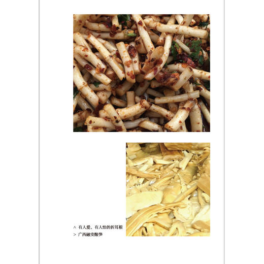 臭食志丨臭在嗅觉，香在味觉！一本“有味道”的书，记下数十年“逐臭”之旅，由臭食知百味！ 商品图2