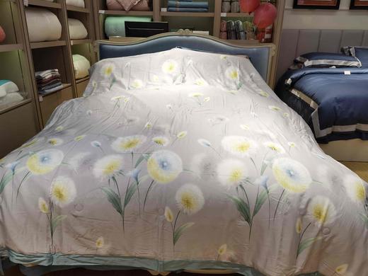 5F舒格雅天丝夏被 商品图0