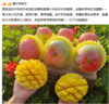 云南苹果芒 商品缩略图2