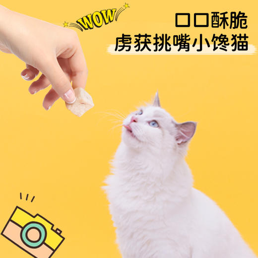 【110任选5件】金多乐冻干猫零食鸡胸肉鸡肝蛋黄猫草爪爪冻干 商品图2