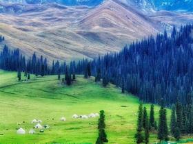 2022新疆之旅“我爱浙疆”阿克苏深度7日(公益植树用户用券低至5499)