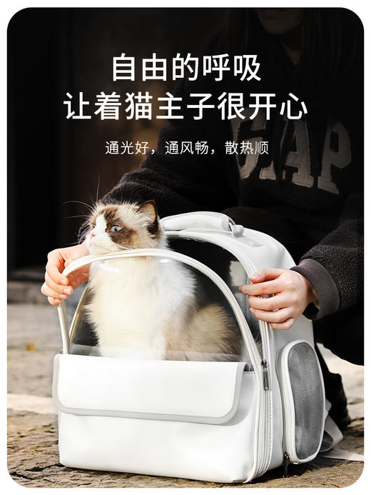 猫包手提双肩猫背包 商品图3