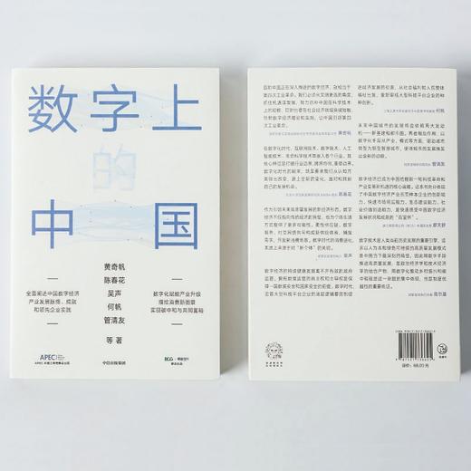 数字上的中国 商品图2