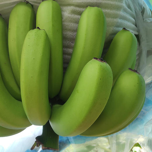 西双版纳高山威尼斯香蕉，生态种植，自然摧熟，口口粉糯香甜 商品图2