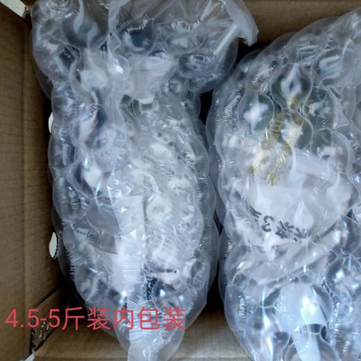 树上熟雷州冰糖红心木瓜、果肉香甜嫩滑、香气扑面、口感细腻 商品图7