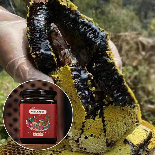 人间喜物 云南西双版纳米团花黑蜂蜜、雨林崖蜜地理特产 商品图3