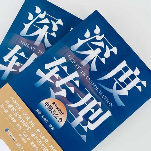 【限时特惠+作者亲笔签名版】深度转型：大分化时代中国怎么办 （王小鲁、王忠民、张军、毛振华、祝宝良、何帆、魏加宁联袂推荐） 商品图3