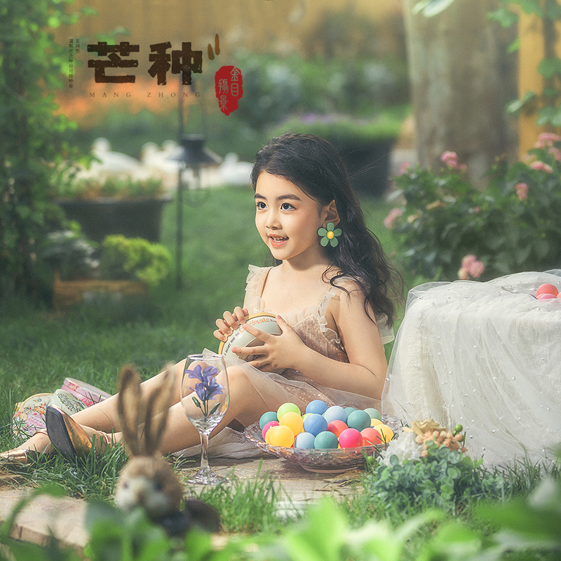 小院外景《芒种》